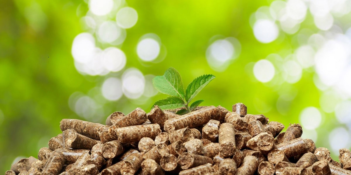 Servicis energètics